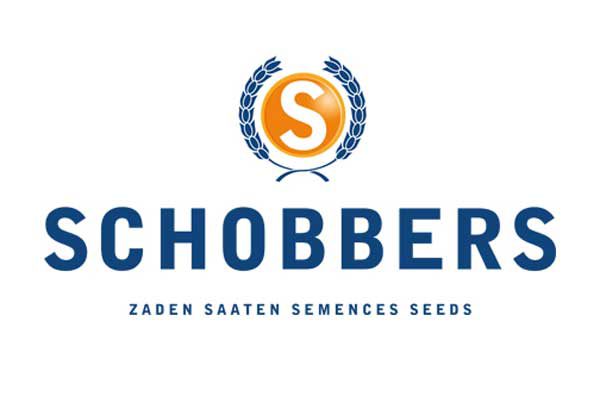 schobbers 600x400 - HOME